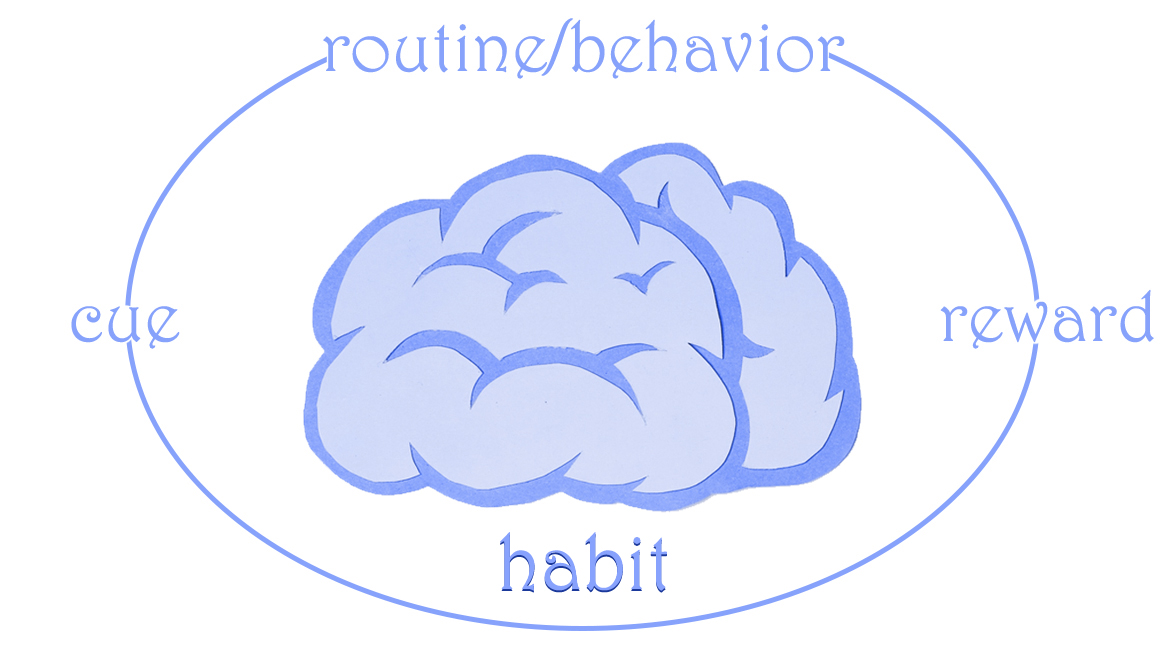 Neuroscience of Habits